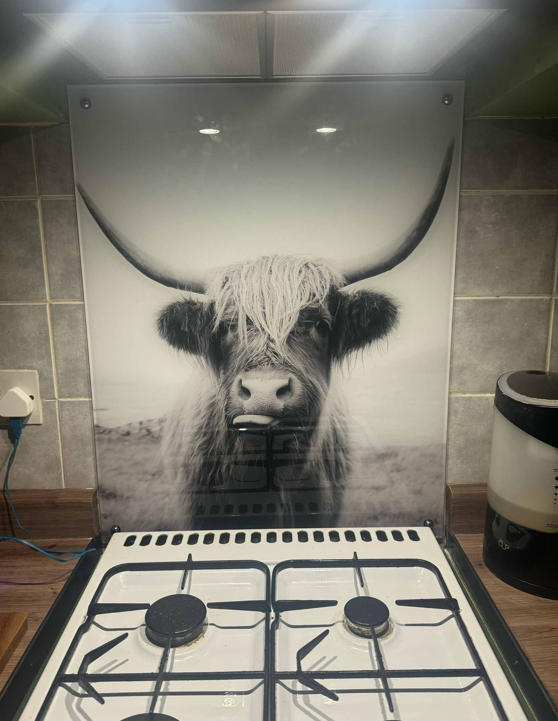 Cheeky Cow splashback behind gas cooker